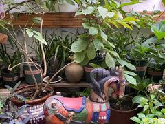 -兰纳泰式spa(古城店)