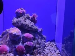 -青岛海底世界-水族馆