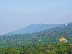 -灵谷景区