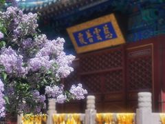 -潭柘寺景区