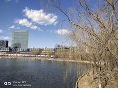 -大兴滨河森林公园