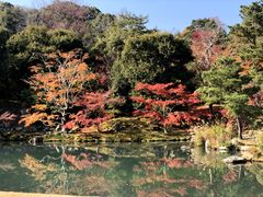 -天龙寺