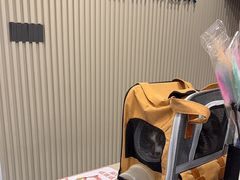 -宠物星动物医院·眼科·异宠·猫科(江南大道总院)