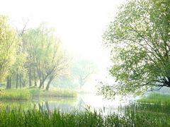 -贡湖湾湿地公园