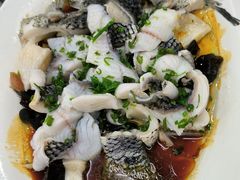 葱油淋花斑-渔鸽皇酒楼(鸿大广场店)