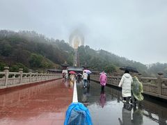 -庐山风景名胜区-东林大佛