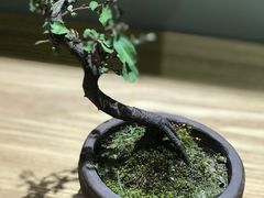 -静一餐厅·湖北菜(前门创始店)