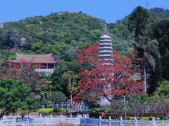 -南普陀寺