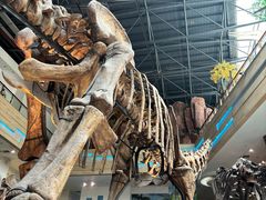 -安徽省地质博物馆