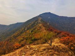 -阳台山自然风景区