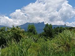 -七仙岭温泉国家森林公园