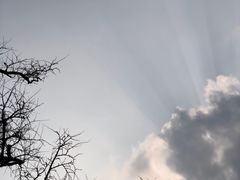 -东山雕花楼
