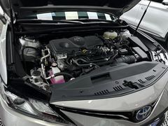 -XPEL旗舰店·汽车贴膜·隐形车衣·改色贴膜