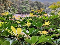 -广州市白云山风景名胜区