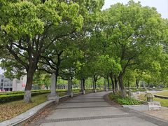 -同济大学(嘉定校区)