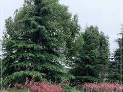 -太子山公园(园东路)
