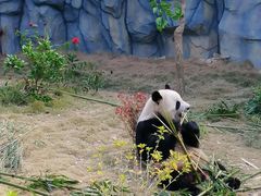 -泉州海丝野生动物世界