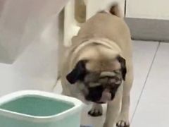 -瑞幸咖啡(国际珠宝交易中心店)