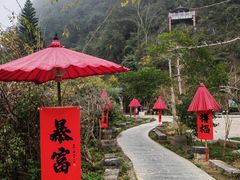 -靖西鹅泉风景区