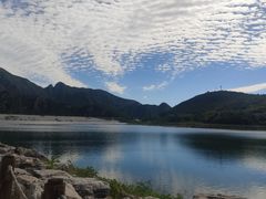 -天鹅湖生态旅游风景区