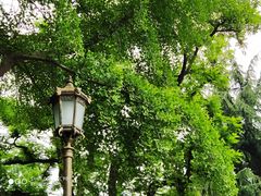 -青岛中山公园-索道售票处