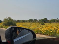 -潍坊欢乐海沙滩景区