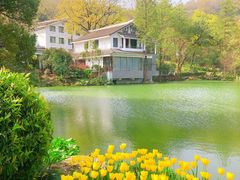 -杭州花家山庄