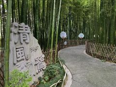 -陈家山荷花公园