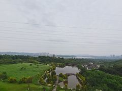 -张坝桂圆林公园