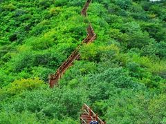 -大岭沟猕猴桃谷风景区