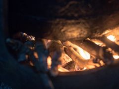 -终南山国家森林公园