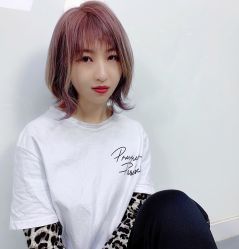 -可可丽舍
