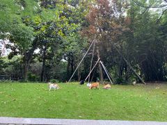 -苏州河梦清园环保主题公园