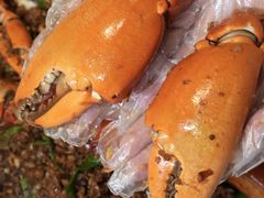 -喜记避风塘炒辣蟹(旗舰店)