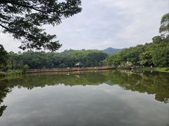 -番禺大夫山森林公园
