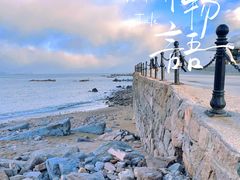 -小麦岛公园