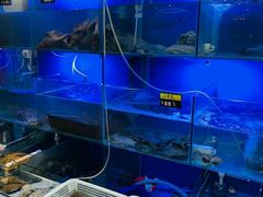 水产区-金龙·打边炉(武进路店)