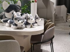 -Husky Go!哈士奇体验馆·宠物咖啡厅狗咖