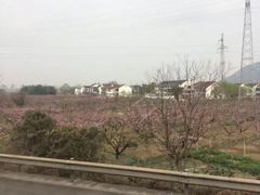-天目湖山水园