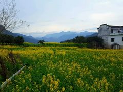 -新安江山水画廊风景区