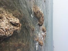 iphone_upload_pic-栈桥景区