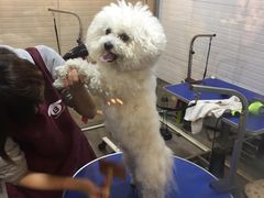 -PETKIT小佩宠物(古北店)