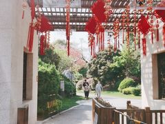 -桃花岛景观公园