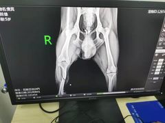 -康成宠物医院24H·CT·核磁共振