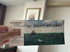 -北海金海湾红树林生态旅游区