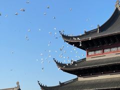 -阳澄湖半岛旅游度假区