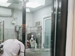 -宠物家(长阳店)