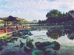 -南通濠河风景名胜区