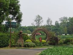-东平国家森林公园