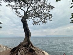 -抚仙湖禄充风景区